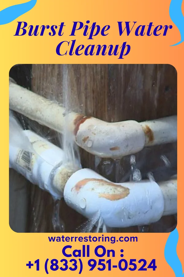 Burst Pipe Water Cleanup in Vass, NC