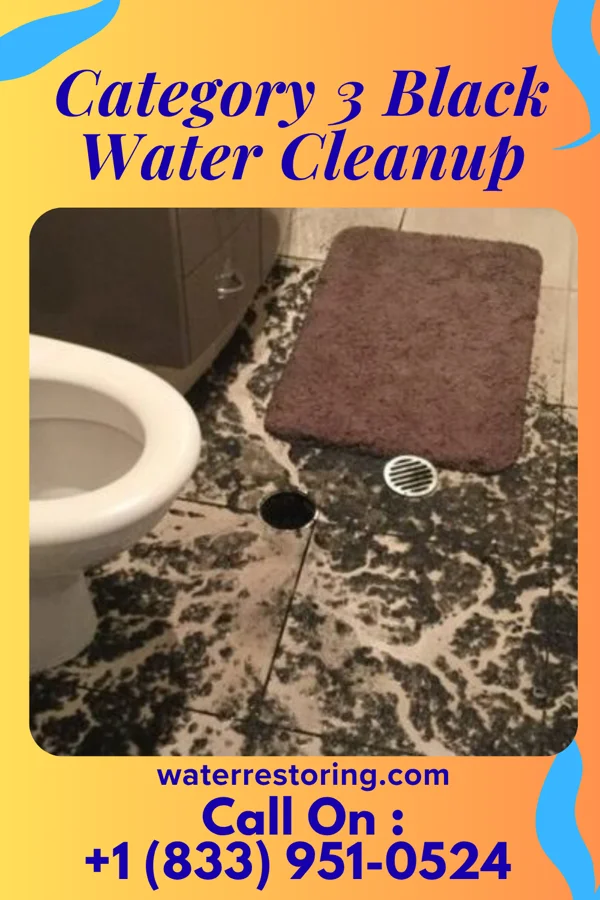 Category 3 Black Water Cleanup in Vass, NC